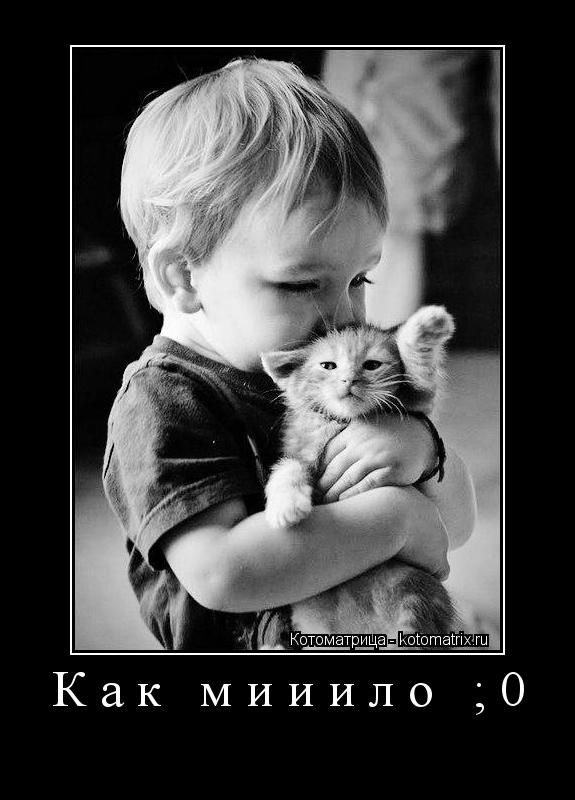 Котоматрица: Как мииило ;0 