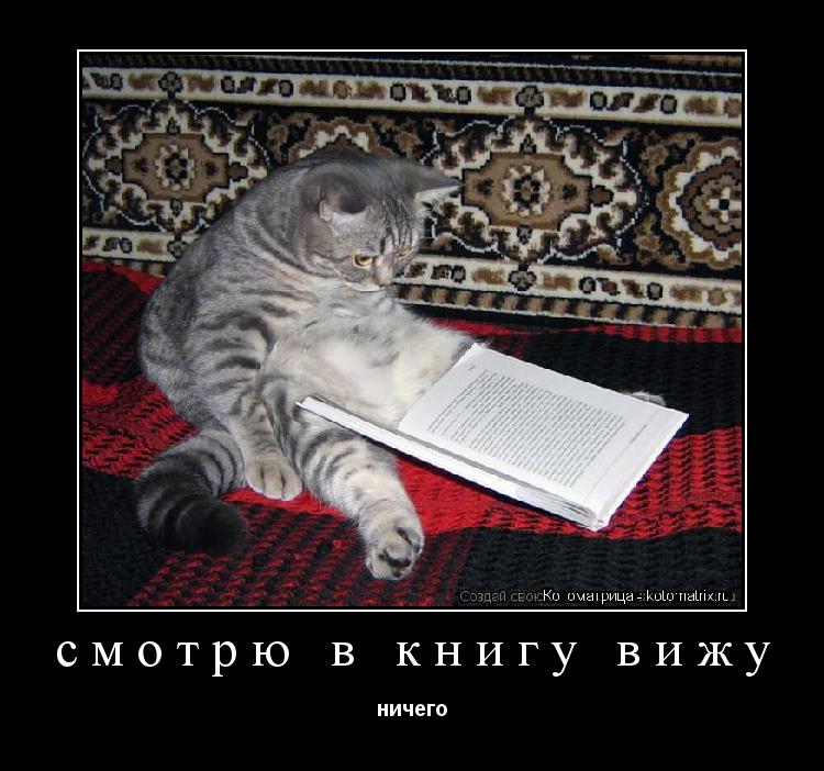 Котоматрица: смотрю в книгу вижу ничего