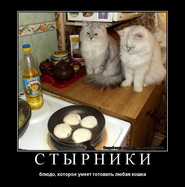 СТЫРНИКИ блюдо, которое умеет готовить любая кошка... Котоматрица: СТЫРНИКИ блюдо, которое умеет готовить любая кошка