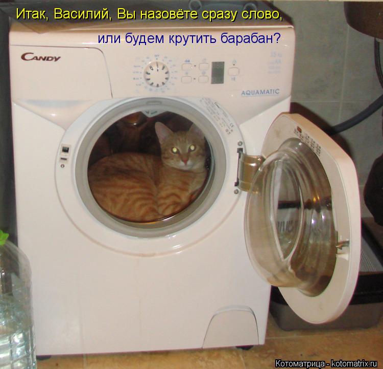 Котоматрица: Итак, Василий, Вы назовёте сразу слово,  или будем крутить барабан?