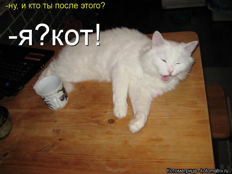 Котоматрица: -ну, и кто ты после этого? -я?кот!