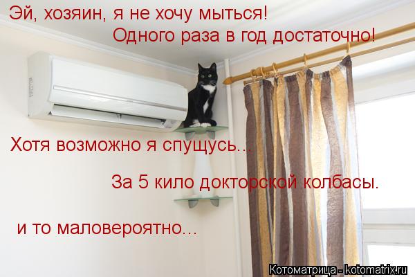 Котоматрица: Эй, хозяин, я не хочу мыться!  Одного раза в год достаточно! Хотя возможно я спущусь... и то маловероятно... За 5 кило докторской колбасы.