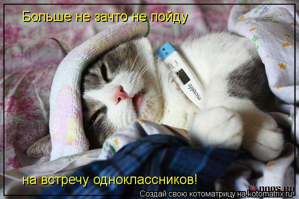 Котоматрица: Больше не зачто не пойду  на встречу одноклассников!