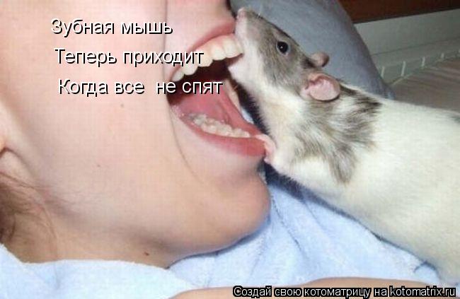 Котоматрица: Зубная мышь  Теперь приходит Когда все  не спят