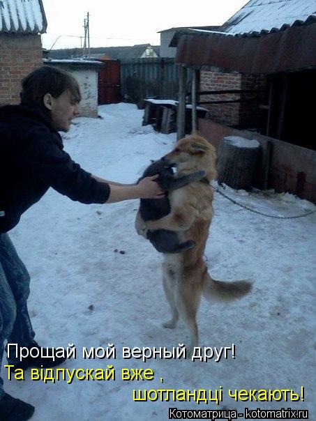 Котоматрица: Прощай мой верный друг! Та відпускай вже , шотландці чекають!