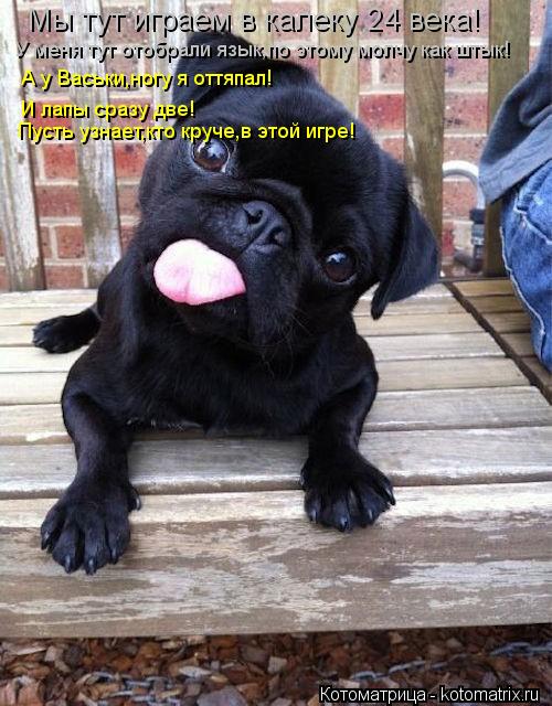 Котоматрица: Мы тут играем в калеку 24 века! У меня тут отобрали язык,по этому молчу как штык! А у Васьки,ногу я оттяпал! И лапы сразу две! Пусть узнает,кто к