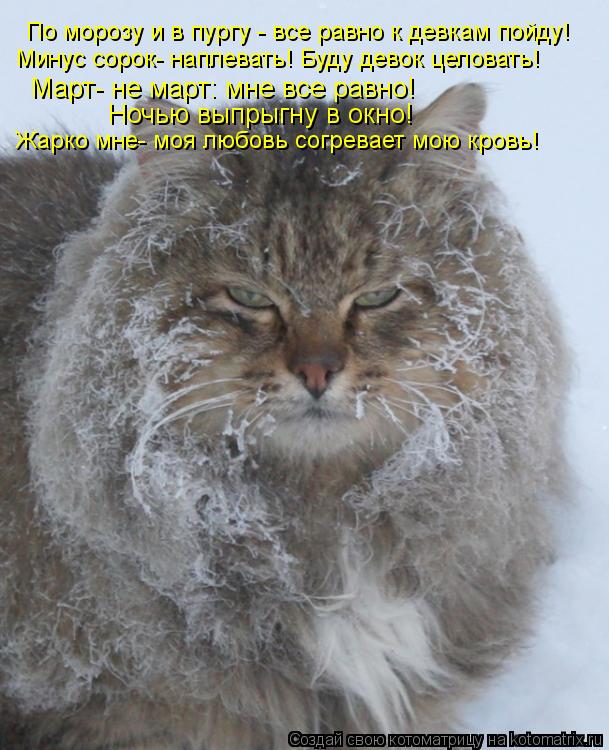 Котоматрица: По морозу и в пургу - все равно к девкам пойду! Минус сорок- наплевать! Буду девок целовать! Март- не март: мне все равно!  Ночью выпрыгну в окно
