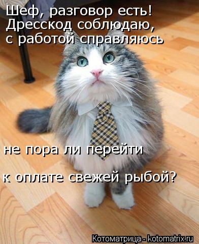 Котоматрица: Шеф, разговор есть! Дресскод соблюдаю, с работой справляюсь не пора ли перейти  к оплате свежей рыбой?