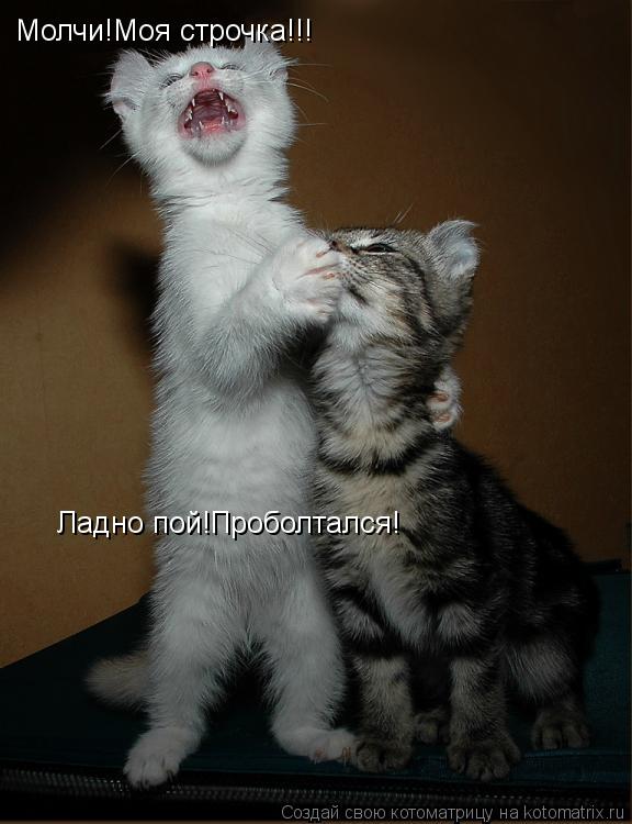Котоматрица: Молчи!Моя строчка!!! Ладно пой!Проболтался!