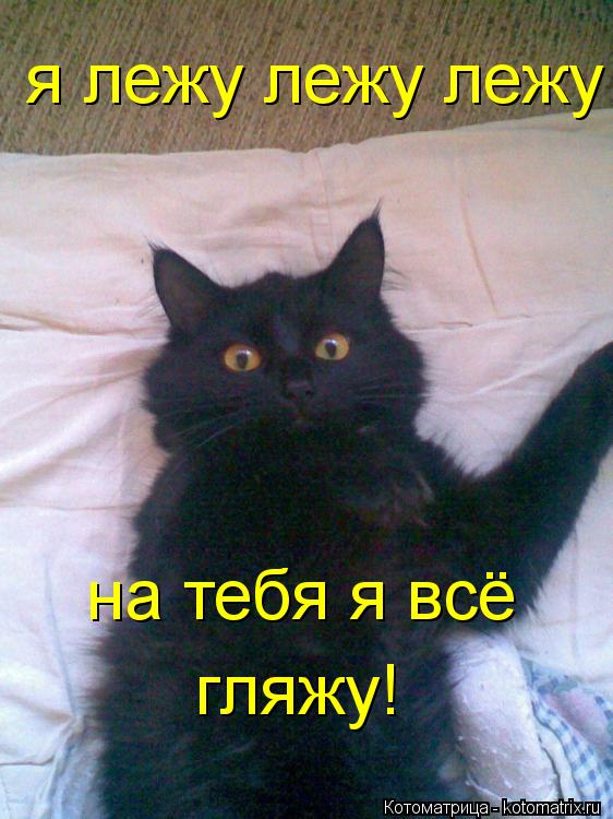 Котоматрица: я лежу лежу лежу  на тебя я всё  гляжу!
