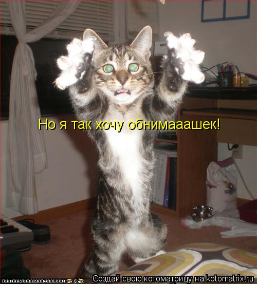Котоматрица: Но я так хочу обнимааашек!