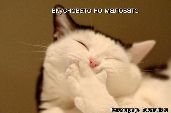 Котоматрица: вкусновато но маловато