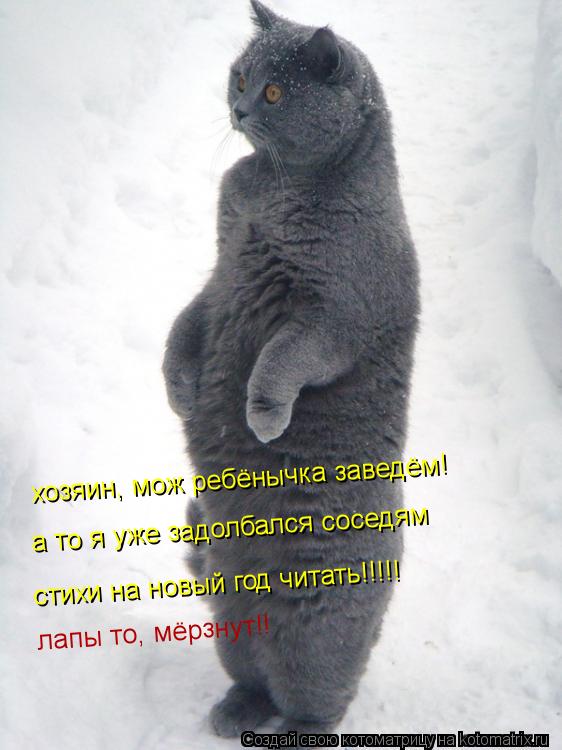 Котоматрица: хозяин, мож ребёнычка заведём! а то я уже задолбался соседям стихи на новый год читать!!!!! лапы то, мёрзнут!!