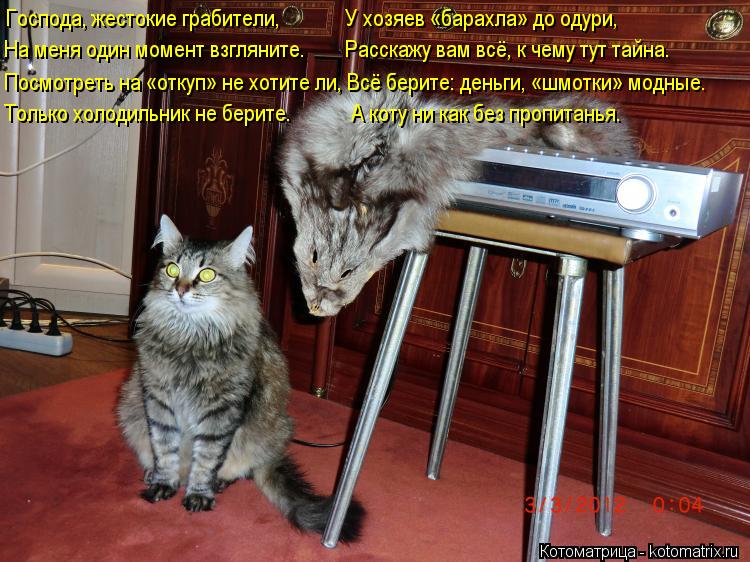 Котоматрица: Господа, жестокие грабители,             У хозяев «барахла» до одури, На меня один момент взгляните.        Расскажу вам всё, к чему тут тайна. Посмот