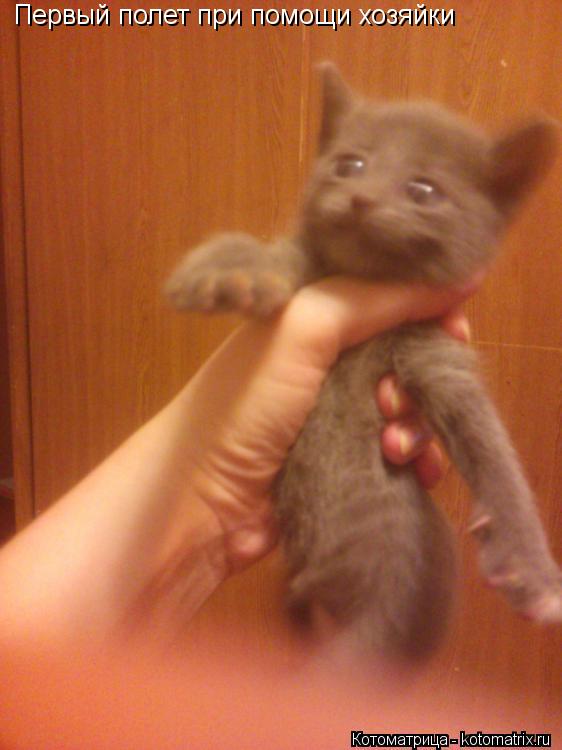 Котоматрица: Первый полет при помощи хозяйки