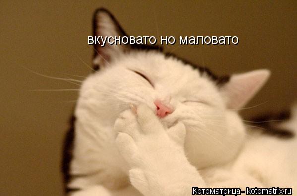 Котоматрица: вкусновато но маловато