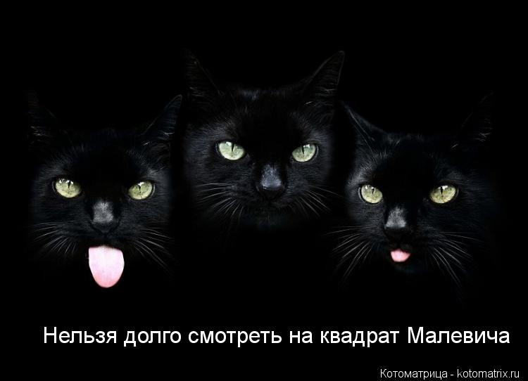 Котоматрица: Нельзя долго смотреть на квадрат Малевича