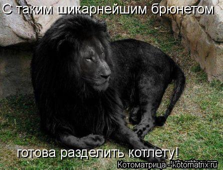 Котоматрица: С таким шикарнейшим брюнетом готова разделить котлету!