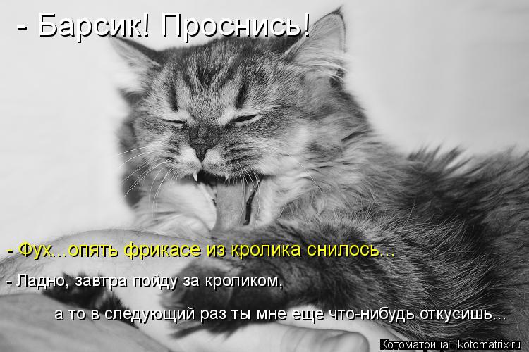 Котоматрица: - Барсик! Проснись! - Фух...опять фрикасе из кролика снилось...  - Ладно, завтра пойду за кроликом,  а то в следующий раз ты мне еще что-нибудь отк