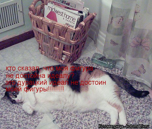 Котоматрица: кто сказал, что моя фигура не достойна идеалу? это дурацкий идеал не достоин моей фигуры!!!!!!!!