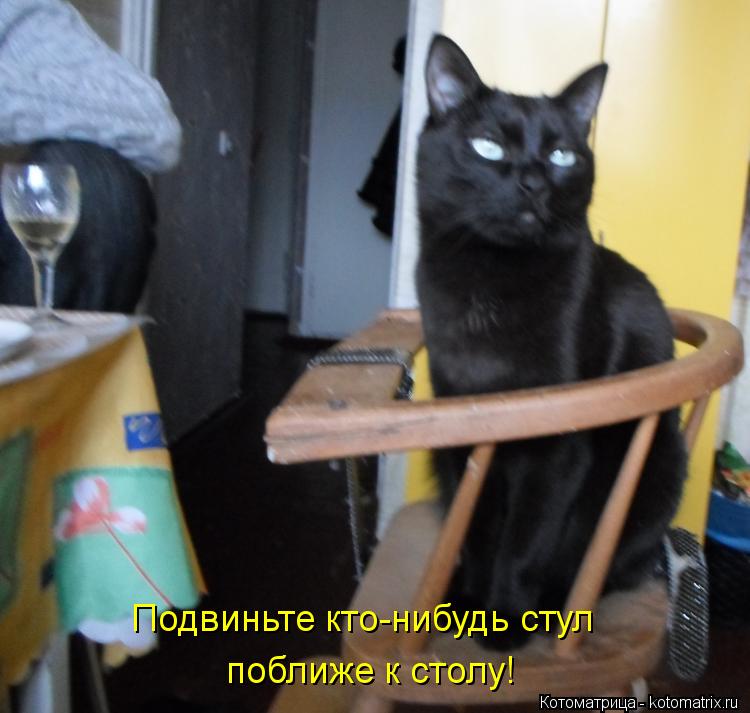 Котоматрица: Подвиньте кто-нибудь стул поближе к столу!