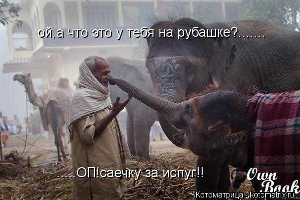 Котоматрица: ой,а что это у тебя на рубашке?....... .....ОП!саечку за испуг!!