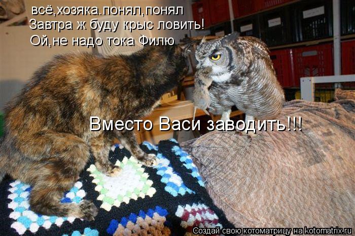 Котоматрица: всё,хозяка.понял,понял Завтра ж буду крыс ловить! Ой,не надо тока Филю Вместо Васи заводить!!!