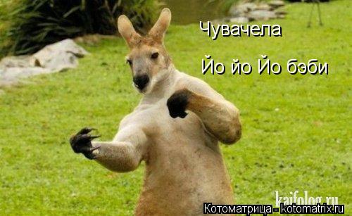 Котоматрица: Чувачела  Йо йо Йо бэби