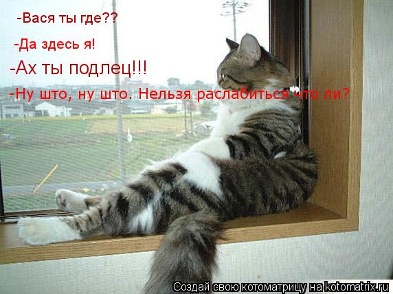 Котоматрица: -Вася ты где?? -Да здесь я! -Ах ты подлец!!! -Ну што, ну што. Нельзя раслабиться что ли?