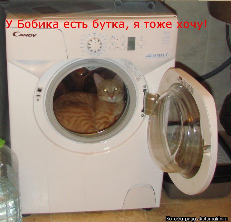 Котоматрица: У Бобика есть бутка, я тоже хочу!