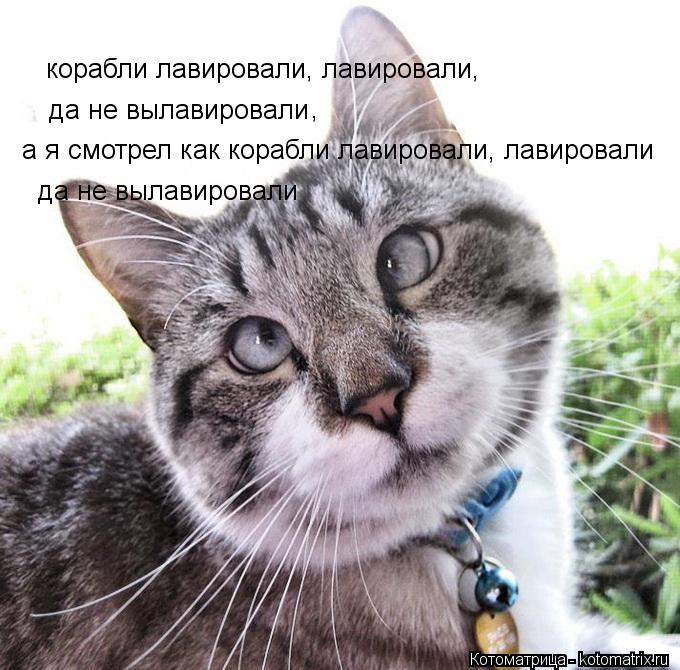 корабли лавировали, лавировали, да не вылавировали , а я смотрел как корабли лавировали, лавировали д... Котоматрица: корабли лавировали, лавировали, да не вылавировали , а я смотрел как корабли лавировали, лавировали да не вылавировали