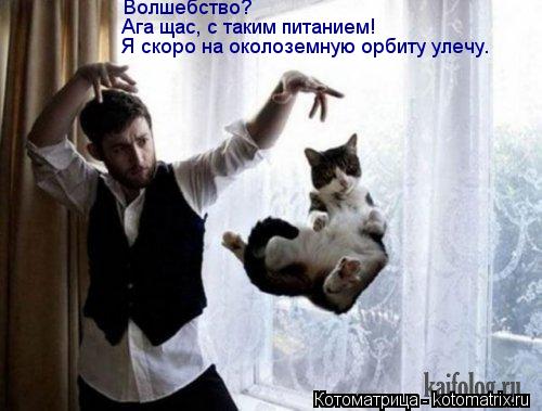 Котоматрица: Волшебство?  Ага щас, с таким питанием! Я скоро на околоземную орбиту улечу.