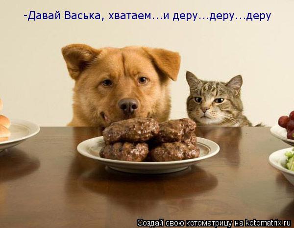 Котоматрица: -Давай Васька, хватаем...и деру...деру...деру