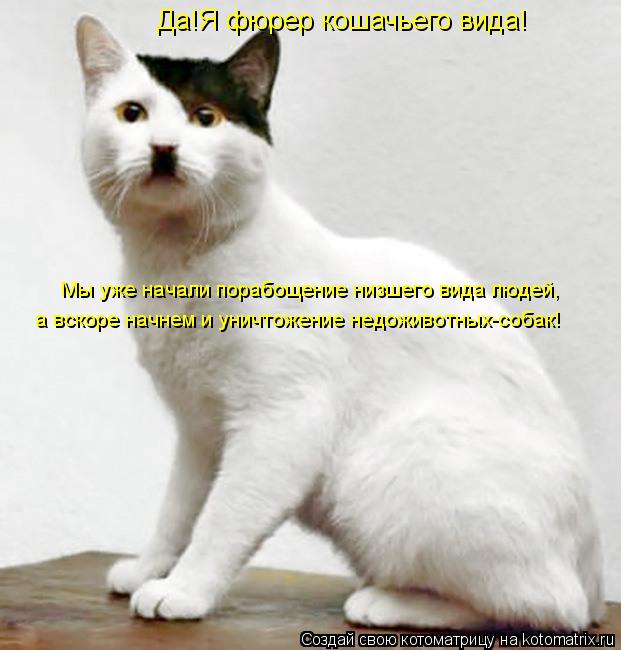 Котоматрица: Да!Я фюрер кошачьего вида! Мы уже начали порабощение низшего вида людей, а вскоре начнем и уничтожение недоживотных-собак!