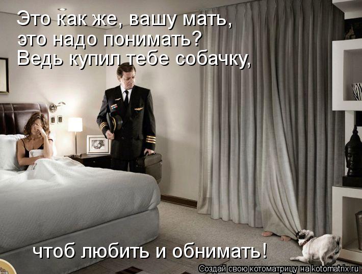Котоматрица: Это как же, вашу мать,  это надо понимать? Ведь купил тебе собачку,  чтоб любить и обнимать!