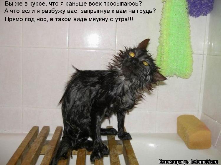 Котоматрица: Вы же в курсе, что я раньше всех просыпаюсь? А что если я разбужу вас, запрыгнув к вам на грудь? Прямо под нос, в таком виде мяукну с утра!!!