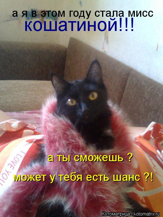 Котоматрица: кошатиной!!! а ты сможешь ? может у тебя есть шанс ?! а я в этом году стала мисс