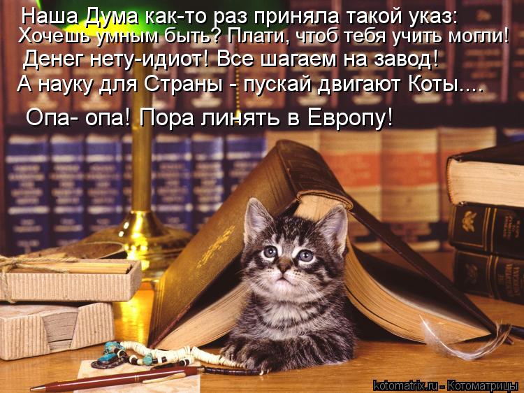 Котоматрица: Наша Дума как-то раз приняла такой указ:  Хочешь умным быть? Плати, чтоб тебя учить могли! Денег нету-идиот! Все шагаем на завод! А науку для Ст