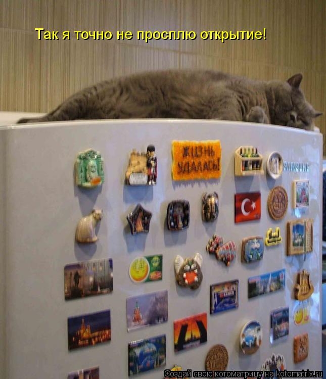 Котоматрица: Так я точно не просплю открытие!