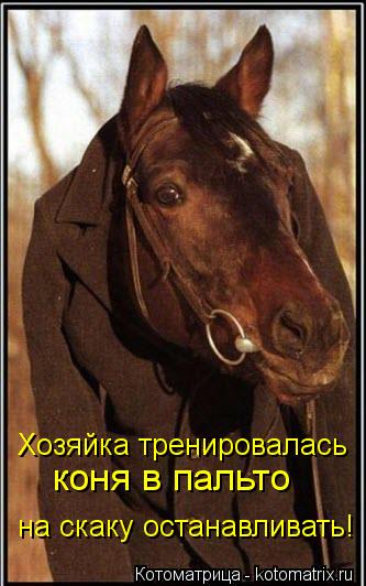 Котоматрица: Хозяйка тренировалась коня в пальто на скаку останавливать!