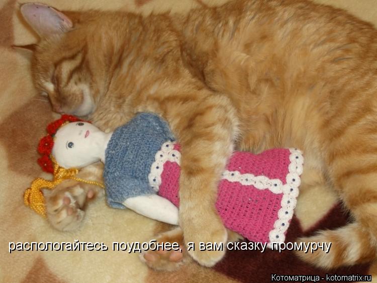 Котоматрица: распологайтесь поудобнее, я вам сказку промурчу