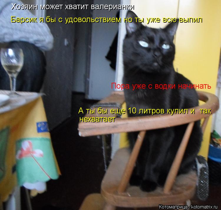 Котоматрица: Хозяин может хватит валерианки Пора уже с водки начинать Барсик я бы с удовольствием но ты уже всю выпил А ты бы еще 10 литров купил и  так  не