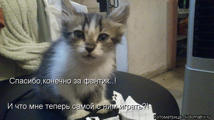 Котоматрица: Спасибо,конечно за фантик..! И что мне теперь самой с ним играть?!