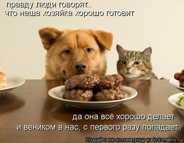 правду люди говорят.. что наша хозяйка хорошо готовит да она всё хорошо делает и веником в нас, с пер... Котоматрица: правду люди говорят.. что наша хозяйка хорошо готовит да она всё хорошо делает и веником в нас, с первого разу попадает..