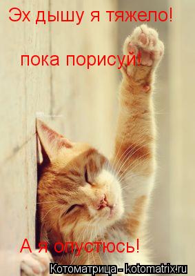 Котоматрица: Эх дышу я тяжело! пока порисуй! А я опустюсь!