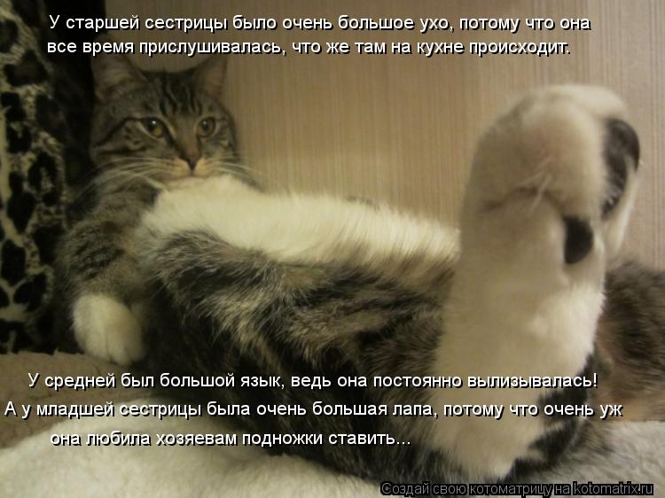 Котоматрица: У старшей сестрицы было очень большое ухо, потому что она  все время прислушивалась, что же там на кухне происходит.  У средней был большой я