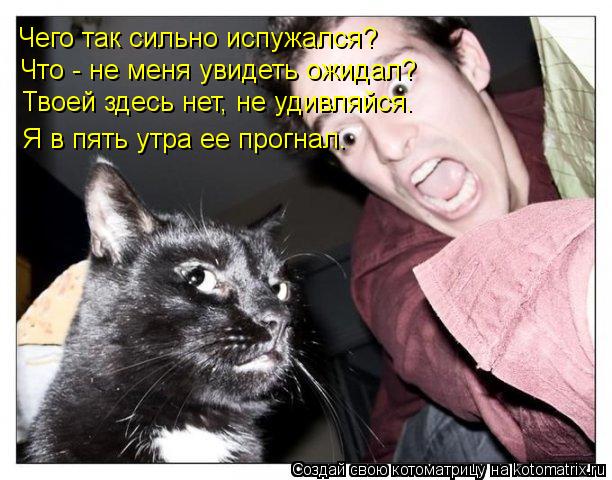 Котоматрица: Чего так сильно испужался? Я в пять утра ее прогнал. Что - не меня увидеть ожидал? Твоей здесь нет, не удивляйся.