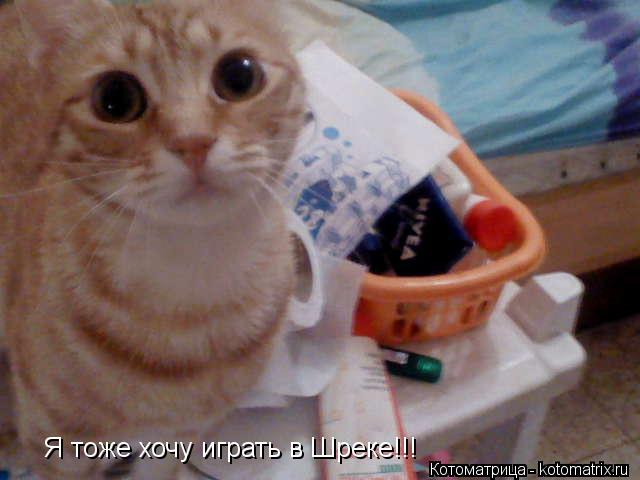 Котоматрица: Я тоже хочу играть в Шреке!!!