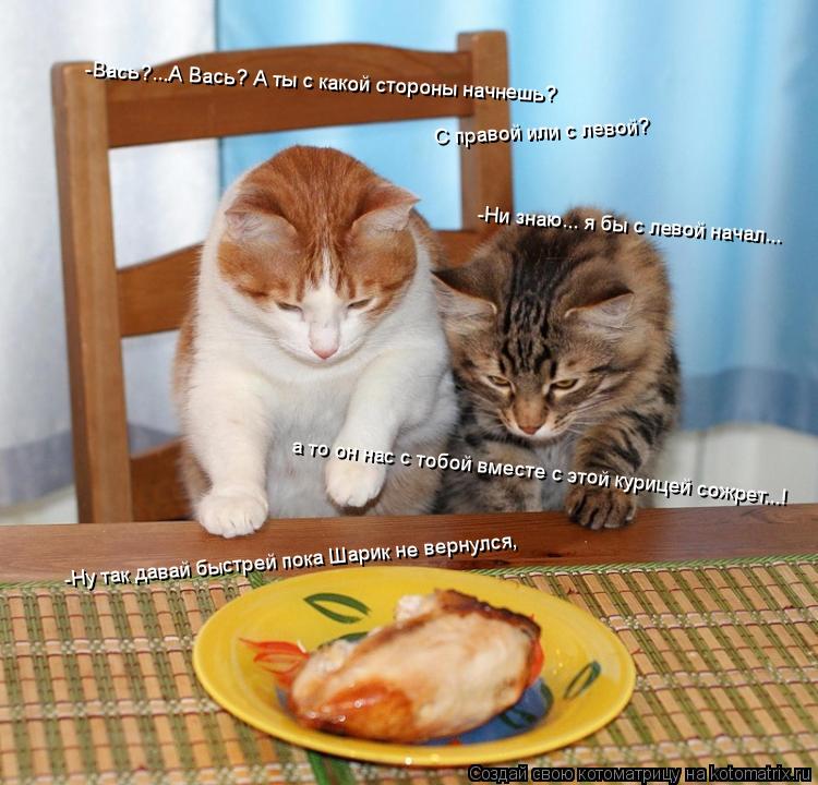 Котоматрица: -Вась?...А Вась? А ты с какой стороны начнешь? С правой или с левой? -Ни знаю... я бы с левой начал... -Ну так давай быстрей пока Шарик не вернулся,  