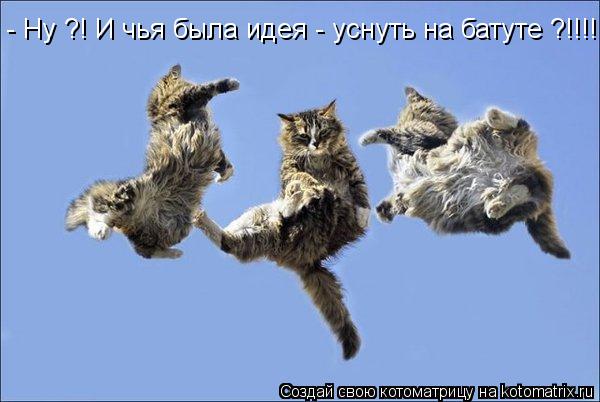 Котоматрица: - Ну ?! И чья была идея - уснуть на батуте ?!!!!